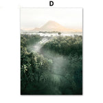Coconut Tree Canvas Art - Modern Forest Canvas | Bamboo Quote showing misty mountain views over a dense coconut tree forest.