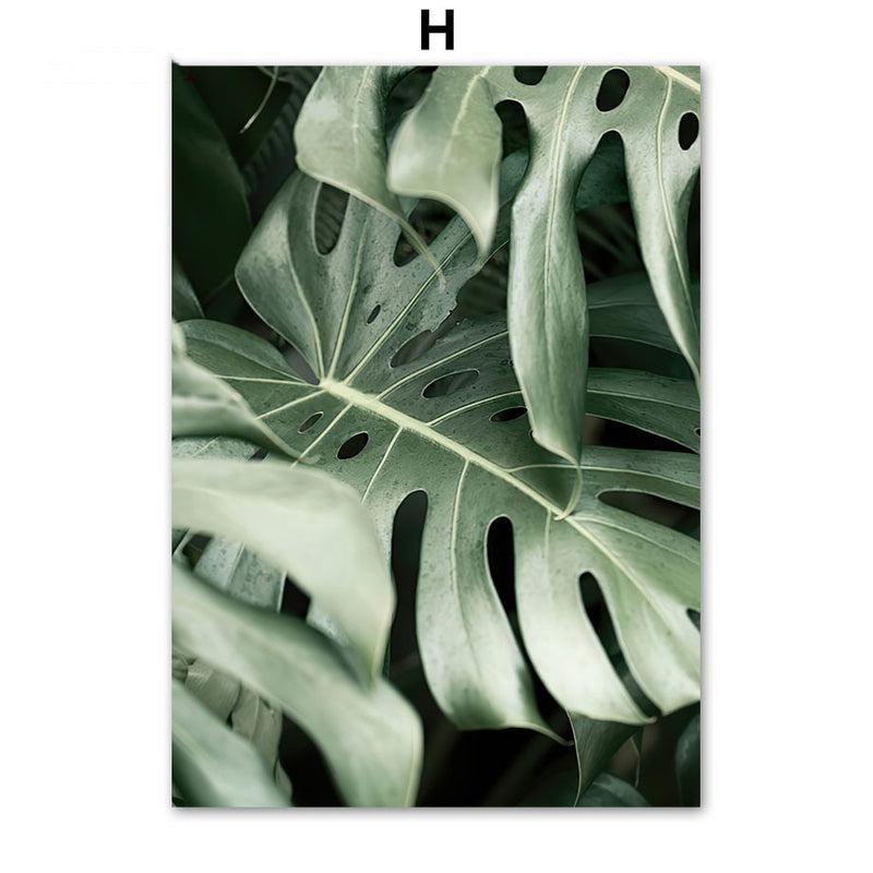 Coconut Tree Canvas Art - Modern Forest Canvas | Bamboo Quote close-up of lush green monstera leaves for a tropical botanical vibe.
