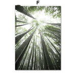 Coconut Tree Canvas Art - Modern Forest Canvas | Bamboo Quote with a vertical view of tall bamboo trees reaching toward the sky.