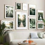 Coconut Tree Canvas Art - Modern Forest Canvas | Bamboo Quote wall set featuring tropical landscapes, bamboo forest, and nature-inspired quotes.