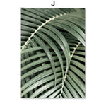 Coconut Tree Canvas Art - Modern Forest Canvas | Bamboo Quote with a detailed view of overlapping palm fronds in soft green hues.