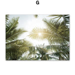 Coconut Tree Canvas Art - Modern Forest Canvas | Bamboo Quote showing sunlit coconut palm leaves against a bright sky.