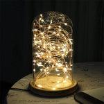 Atmosphere LED Night Lamp with dimming switch in a glass dome and wooden base, glowing warmly on a table. Ideal for cozy home decor.